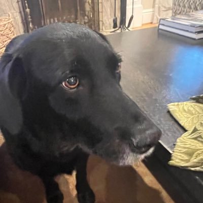 SethOnHoops's profile picture