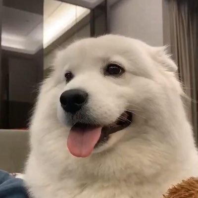 m's profile picture
