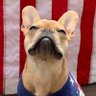 Mike Drop's profile picture