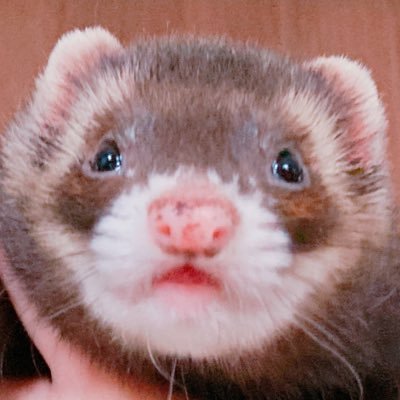 jus_3913's profile picture