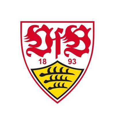 VfB_Frauen's profile picture