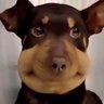 Profilbild von Nubby