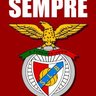 josé costa's profile picture