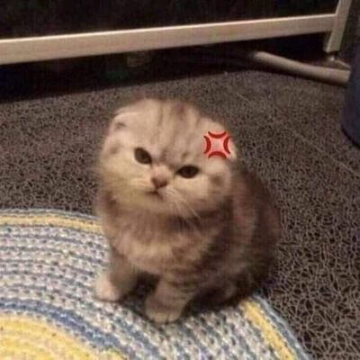 accmoine's profile picture