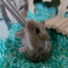 Toe_m profil fotoğrafı