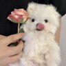 AAA收破烂秋姐's profile picture