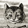 Jim Steele's profile picture