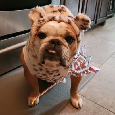 RitualFPS's profile picture
