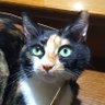 Rhodia's profile picture