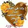 وادي الامان's profile picture