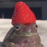 Profilbild von 🅱️oz