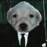 Profilbild von |Warmnash