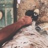 🇸🇩الساموراي الوحيد ㊙'s profile picture