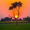 Ahmad Farooq Choudhary's profile picture