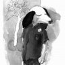 Jason V Lee Ⓡ's profile picture