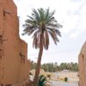 ابو العنود 的头像