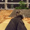 Vignesh profil fotoğrafı