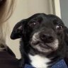 ꂵꁲꌅꏳꑀ꒒꒒ꊿ's profile picture