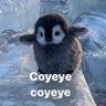 cotzy's profile picture