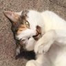 ゲル profil fotoğrafı