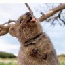 Lainey M's profile picture