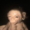 dongle's profile picture