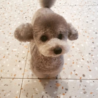 วว. ◡̈'s profile picture