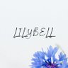 Profilbild von Lilybell / Azura Focushearth