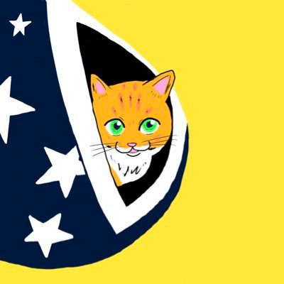 50歳からの学習🐈️サテン行政書士事務所's profile picture