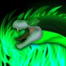 Carno Raptor42000's profile picture