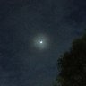 夜を越えて profil fotoğrafı
