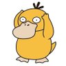 Psyduck 🐥's profile picture