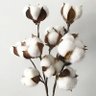 Фото профиля Like_cotton