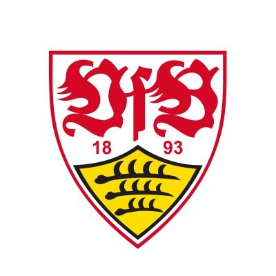 VfB Stuttgart_int's profile picture