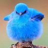 Sandy M.🇺🇸 🖖🌻's profile picture