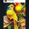 काफल बाेटे's profile picture
