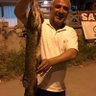 Hüseyin Sevim's profile picture