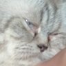 Profilbild von o xxy