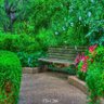 🇰🇼 رياح الشرق 🇰🇼's profile picture