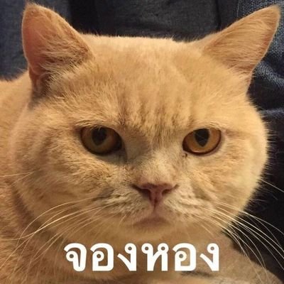 MOu505's profile picture