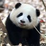 wei's profile picture