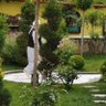 TWİT DEDE profil fotoğrafı
