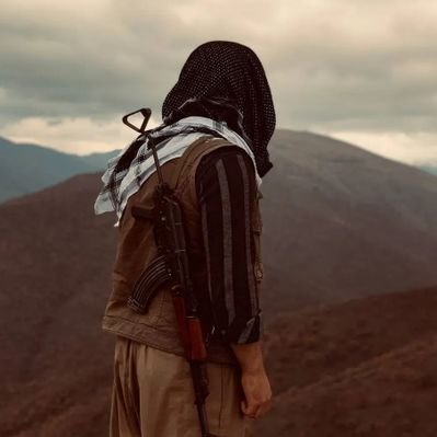 Al_iinkishariu's profile picture