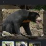 Sebastien Weyders profil fotoğrafı