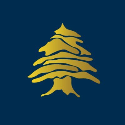 LebanonOnNews's profile picture