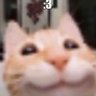 Фото профиля La_La_La_Cat