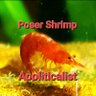 Profilbild von PoserShrimpApoliticalist