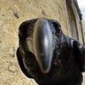 Profilbild von mantis
