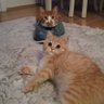 EFRA NİLSU profil fotoğrafı
