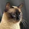 Profilbild von Noah